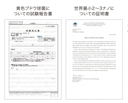 黄色ブドウ球菌についての試験報告書世界最小2～3ナノについての証明書